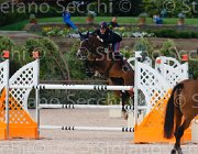 COATA L QUITE ItaAss2013- S5 1375 : COATA LUCA, Campionati Italiani 2013, Cattolica, Horse Riviera Resort, QUITE BEAUTY, foto di Stefano Secchi ©